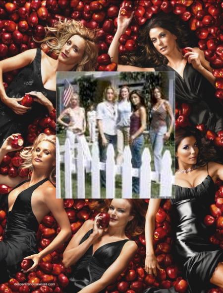 desperate housewives